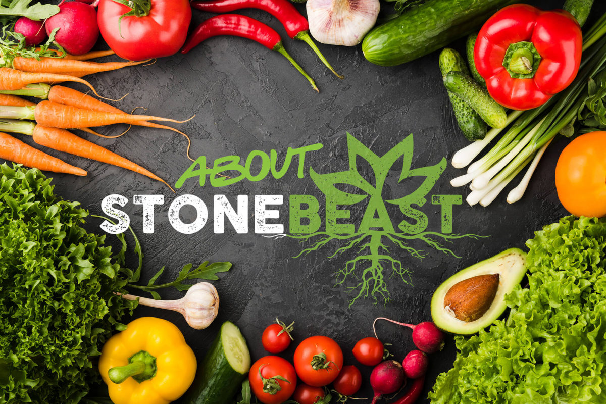 About_StoneBeast_Main-Hero – Stone Beast Soil Treatment